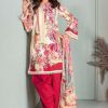 Deepsy Firdous Salwar Suit Wholesale Catalog 10 Pcs