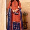 Sweety Resham Vol 5 Pashmina Salwar Suit Wholesale Catalog 8 Pcs 100x100 - Sweety Non Stop Vol 43 Salwar Suit Wholesale Catalog 12 Pcs