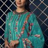 Belliza Kashmiriyat Pashmina Salwar Suit Wholesale Catalog 10 Pcs