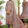 Keval Feb Alija Premium Luxury Salwar Suit Wholesale Catalog 6 Pcs