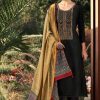 Adinath Pakeeza Salwar Suit Wholesale Catalog 6 Pcs