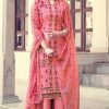 Belliza Nakshatra Salwar Suit Wholesale Catalog 10 Pcs