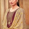 Raghav Zarina Vol 2 Salwar Suit Wholesale Catalog 12 Pcs