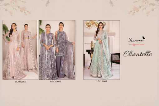 Serene Chantelle Salwar Suit Wholesale Catalog 3 Pcs 5 510x340 - Serene Chantelle Salwar Suit Wholesale Catalog 3 Pcs
