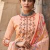 Belliza Wonder Style Salwar Suit Wholesale Catalog 10 Pcs (14)