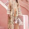 Shree Fabs Firdous Ombre Collection Nx Salwar Suit Wholesale Catalog 5 Pcs