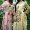 Tawakkal Opulence Luxury Cotton Vol 4 Salwar Suit Wholesale Catalog 10 Pcs