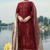 Belliza Nizam E Patiala Pashmina Salwar Suit Wholesale Catalog 10 Pcs