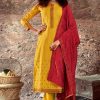 Brij Nazia Salwar Suit Wholesale Catalog 8 Pcs