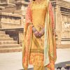 Roli Moli Shazia Pashmina Salwar Suit Wholesale Catalog 8 Pcs
