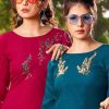 Shubh NX Poshak Vol 3 Kurti Wholesale Catalog 9 Pcs