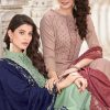 Brij Saraa Vol 2 Salwar Suit Wholesale Catalog 8 Pcs