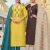 Hariyaali Victory by Kayce Trendz Readymade Salwar Suit Wholesale Catalog 8 Pcs