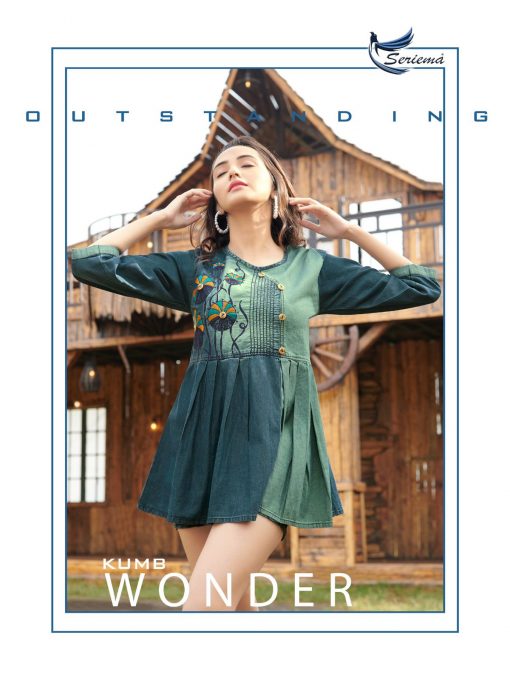 Seriema Wonder Denim Kurti Wholesale Catalog 8 Pcs 1 510x680 - Seriema Wonder Denim Kurti Wholesale Catalog 8 Pcs