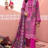 Deepsy Chunri 22 Vol 2 Embroidered Dupatta Collection Salwar Suit Wholesale Catalog 7 Pcs