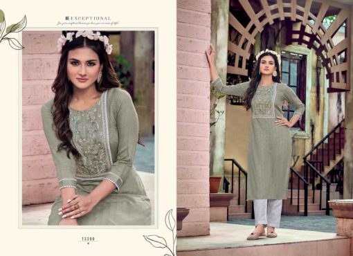 Kalaroop Jaagi by Kajree Kurti Wholesale Catalog 4 Pcs 5 510x370 - Kalaroop Jaagi by Kajree Kurti Wholesale Catalog 4 Pcs