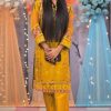 Dinsaa DS 169 Organza Salwar Suit Catalog 2 Pcs