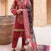 Deepsy Firdous Ombre NX Cotton Chiffon Salwar Suit Catalog 5 Pcs