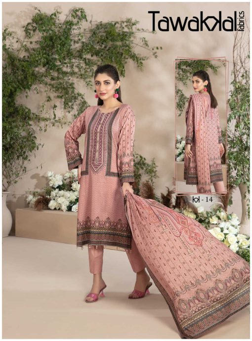 Tawakkal Mehroz Luxury Heavy Cotton Collection Vol 2 Salwar Suit Catalog 10 Pcs 9 510x690 - Tawakkal Mehroz Luxury Heavy Cotton Collection Vol 2 Salwar Suit Catalog 10 Pcs