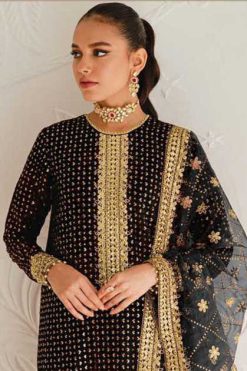 Serene S 148 A-C Georgette Salwar Suit Catalog 3 Pcs