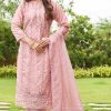 Serene S 190 A-D Organza Salwar Suit Catalog 4 Pcs