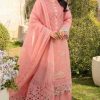 Deepsy Rang Rasiya Premium Lawn 24 Vol 2 Salwar Suit Catalog 6 Pcs
