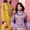 Mumtaz Arts Gulbagh Satin Salwar Suit Catalog 6 Pcs