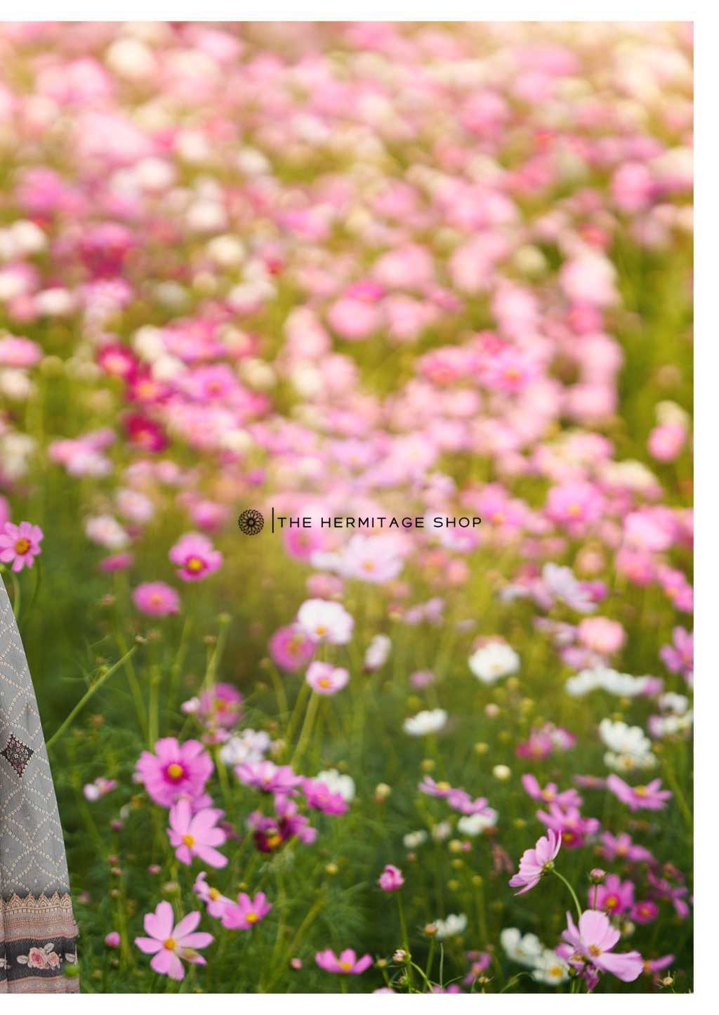 The Heritage Shop Bandhej Cotton Salwar Suit Catalog 6 Pcs (4) The Heritage Shop Bandhej Cotton Salwar Suit Catalog 6 Pcs - Image 5