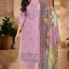 Alok Tabeer Vol 17 Cotton Salwar Suit Catalog 6 Pcs