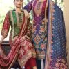 Belliza Surbhi Viscose Salwar Suit Catalog 3 Pcs