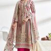 Riaz Arts Kashmiri Garden by Mumtaz Arts Viscose Salwar Suit Catalog 5 Pcs