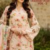 Shree Fabs Ombre Chikankari Collection Vol 2 Chiffon Cotton Salwar Suit Catalog 8 Pcs