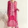 Alzohaib DN 1294-1300 Chiffon Cotton Salwar Suit Catalog 7 Pcs