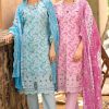 Deepsy Bin Saeed Mini Lawn Collection Chiffon Cotton Salwar Suit Catalog 6 Pcs