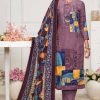 Sumyra Rehnuma Pashmina Salwar Suit Catalog 4 Pcs