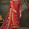Sumyra Simar Pashmina Salwar Suit Catalog 4 Pcs