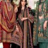 Zulfat Amina by Belliza Pashmina Salwar Suit Catalog 6 Pcs