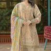 Shree Fabs Chiffons SF 5520 A-D Chiffon Salwar Suit Catalog 4 Pcs