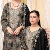 Alok Black Bunny Vol 3 Rayon Salwar Suit Catalog 6 Pcs