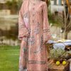 Shree Fabs Ombre Lawn Collection 25 Vol 6 NX Chiffon Cotton Salwar Suit Catalog 5 Pcs Shree Fabs Ombre Lawn Collection 25 Vol 6 NX Chiffon Cotton Salwar Suit Catalog 5 Pcs