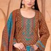 Alok Kashmiri Queen Cotton Salwar Suit Catalog 6 Pcs