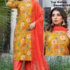 Kaya Amrita Fancy Readymade Salwar Suit Catalog 6 Pcs Kaya Amrita Fancy Readymade Salwar Suit Catalog 6 Pcs