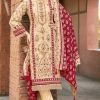 Levisha Madhubala Vol 17 Cotton Salwar Suit Catalog 6 Pcs